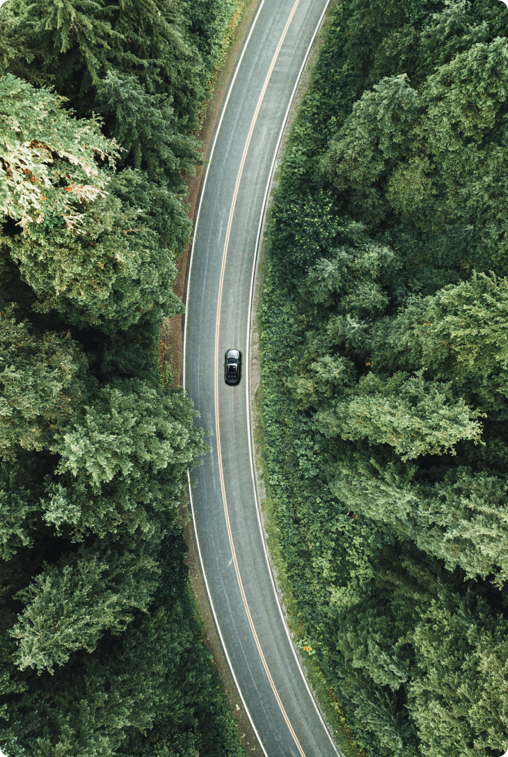 Carro em estrada entre árvores visto de cima.
