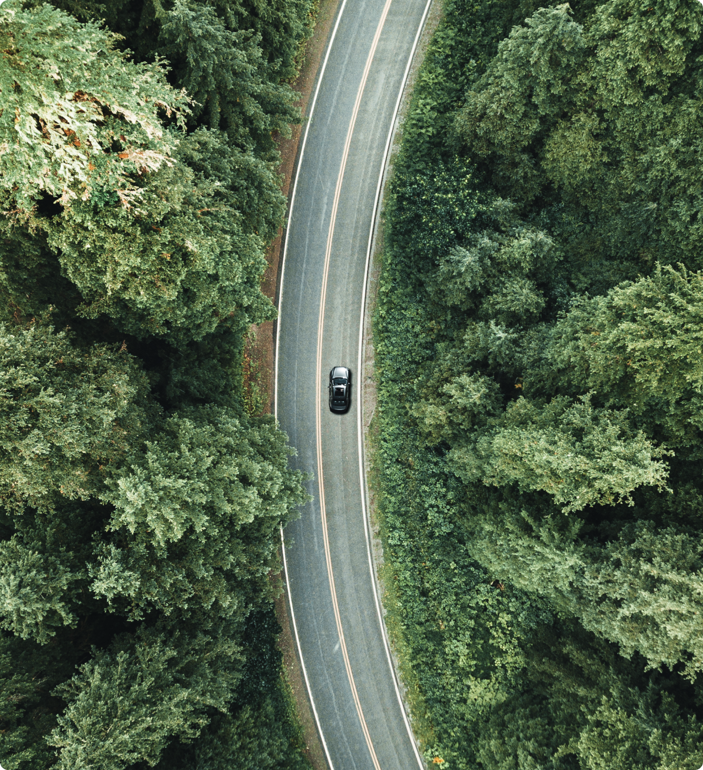 Fotografia aérea de carro em uma estranha com curva para a direito no meio das árvores